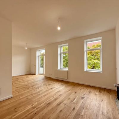 Wiesenstraße 63, Südstadt