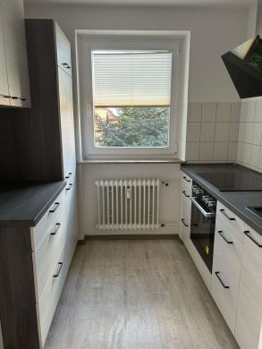 Küche_2 - Gemütliche 2-Zimmer Wohnung mit Balkon und neuer Einbauküche in idyllischer Lage